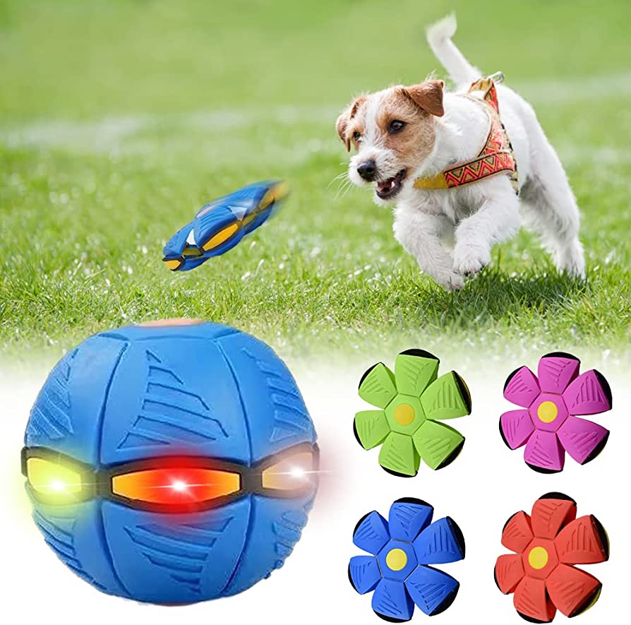 Hundefrisbee